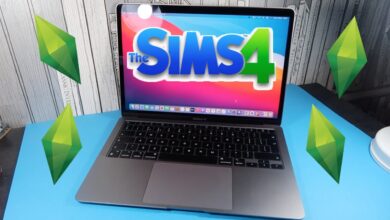 sims laptop